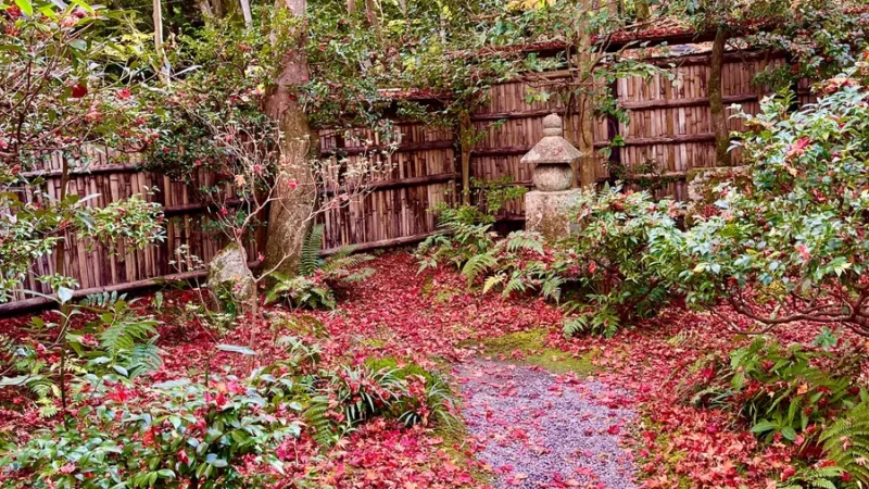 Temple in Arashiyama covered in red leaves in autumn