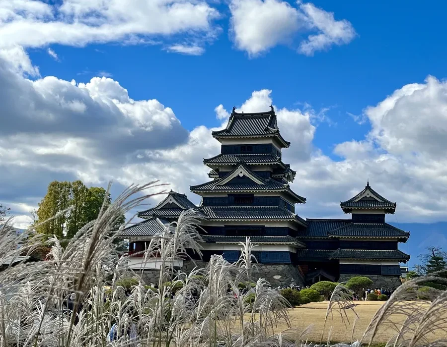 Nagano castle view from garden