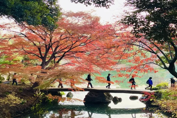 Autumn Red Leaves: Rikugien, Tokyo’s Most Beautiful Garden