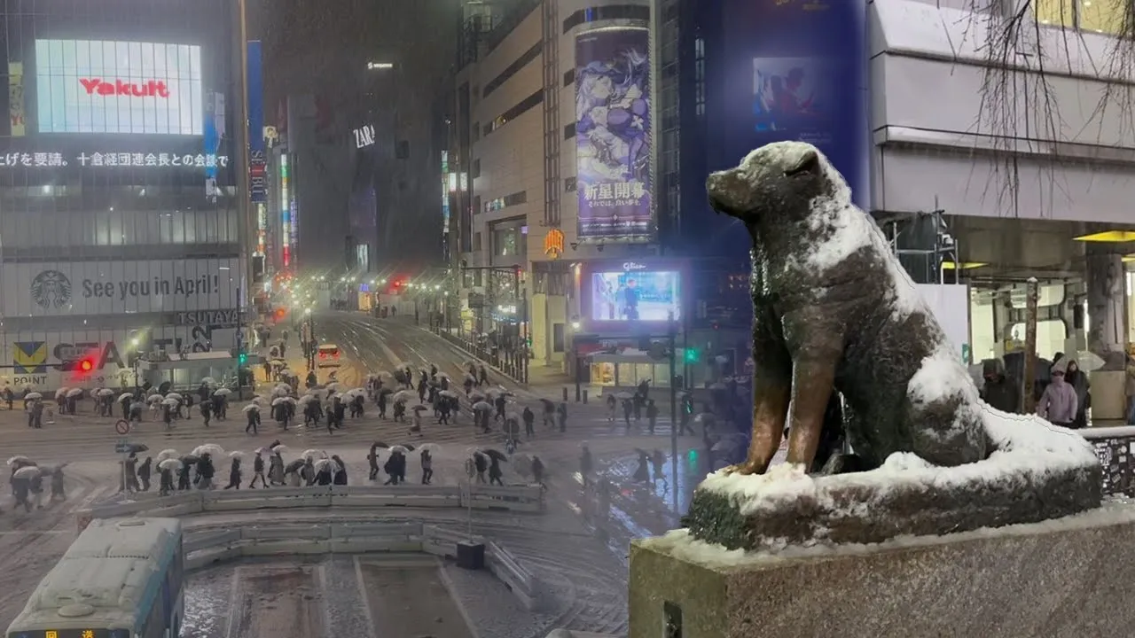 statue of hachiko in shibuya covered in snow