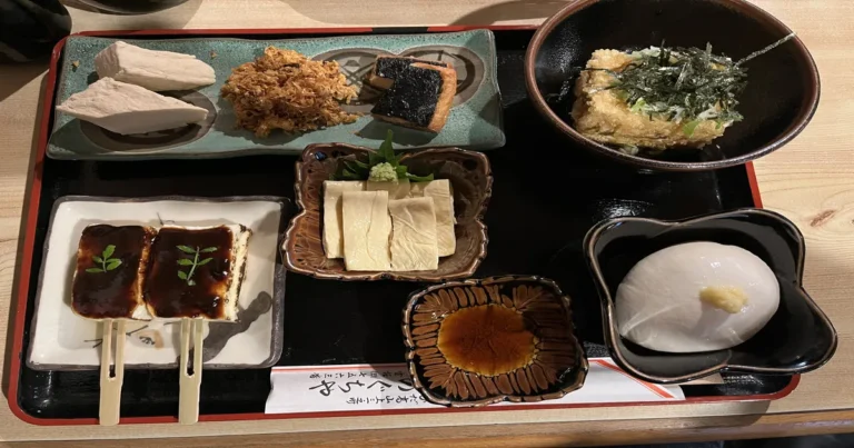 Tofu based lunch in Takayama