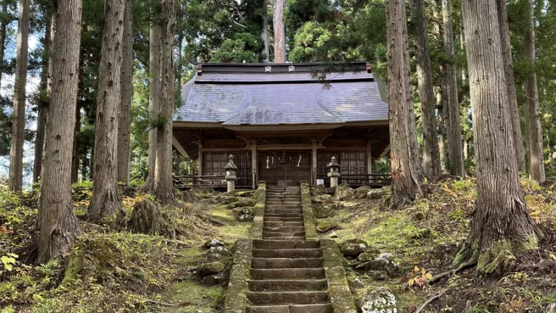 temple among cedar trees