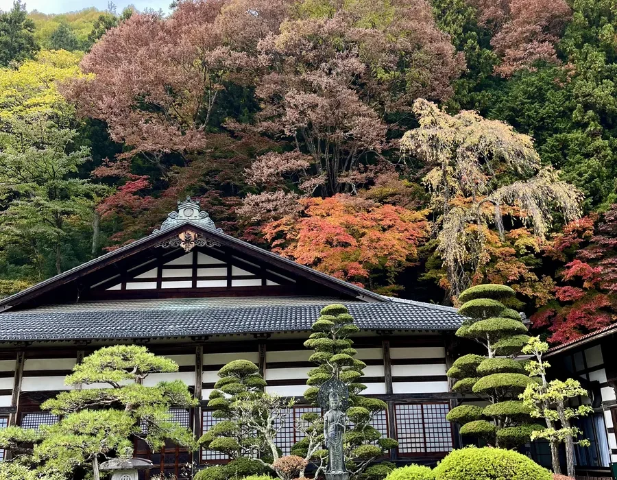 temple covered in green in Narai-Juku