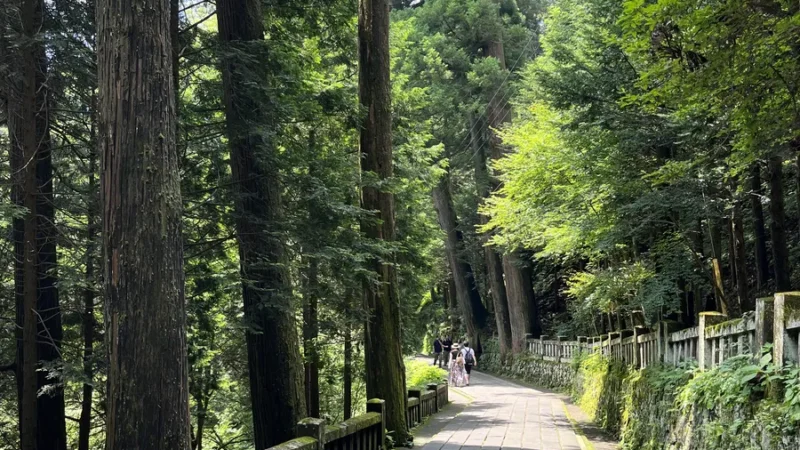 a temple street among nature